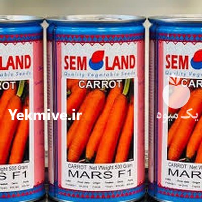 فروش بذر هویج پارس اف یک در پارس آباد در گروه خرید و فروش بذر هویج در یکمیوه -عکس1