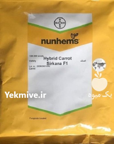 بذر هویج نانتس سیرکانا در عنبران در گروه خرید و فروش بذر هویج در یکمیوه -عکس1