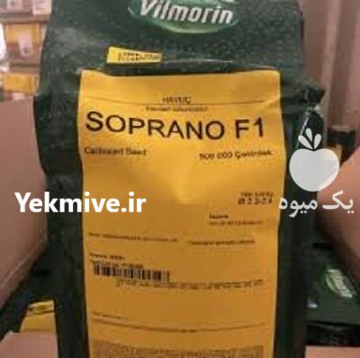 بذر هویج سوپرانو ویلمورین در لاهرود در گروه خرید و فروش بذر هویج در یکمیوه -عکس1