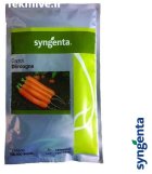 بذر هویج دوردگن در خلخال در گروه خرید و فروش بذر هویج در یکمیوه