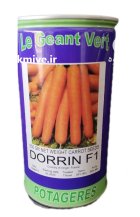 بذر هویج دورین در پارس آباد در گروه خرید و فروش بذر هویج در یکمیوه