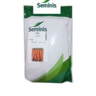 بذر هویج فورتو سمینیس در مورموری در گروه خرید و فروش بذر هویج در یکمیوه