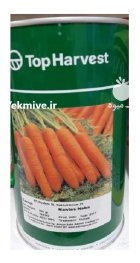 بذر هویج سانمیک نابا در پارس آباد در گروه خرید و فروش بذر هویج در یکمیوه