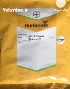 بذر هویج نانتس سیرکانا در عنبران در گروه خرید و فروش بذر هویج در یکمیوه