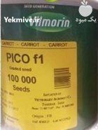 خرید بذر هویج پیکو ویلمورین PICO در رضی در گروه خرید و فروش بذر هویج در یکمیوه