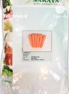 بذر هویج نانتس ناتیوا در اهل در گروه خرید و فروش بذر هویج در یکمیوه