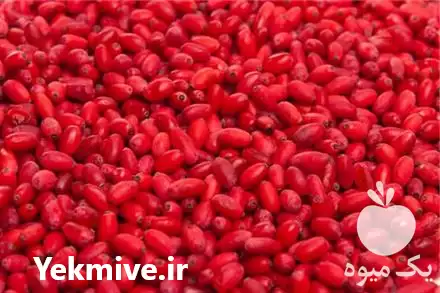 قیمت خرید زرشک منجمد IQF در کرج در گروه خرید و فروش زرشک در یکمیوه -عکس1