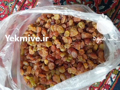 فروش کشمش فاروج کیلویی در خراسان شمالی در گروه خرید و فروش آجیل در یکمیوه -عکس1