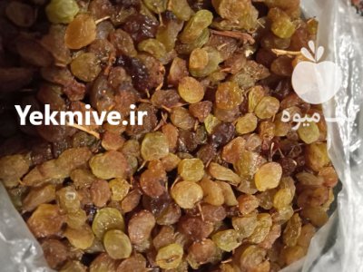 فروش کشمش فاروج کیلویی در خراسان شمالی در گروه خرید و فروش آجیل در یکمیوه -عکس2