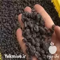 کشمش فروش کشمش در شیراز در گروه خرید و فروش آجیل در یکمیوه