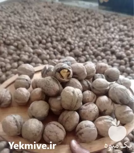 فروش گردوی درصد پوست نازک محصول در تهران در گروه خرید و فروش گردو در یکمیوه -عکس1