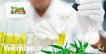 قیمت خرید تولید اسانس گیاهی تولید در قم در گروه انواع محصولات غذایی در یکمیوه -عکس1