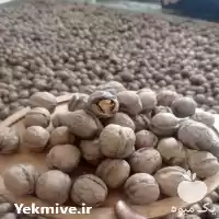 فروش گردوی درصد پوست نازک محصول در تهران در گروه خرید و فروش گردو در یکمیوه