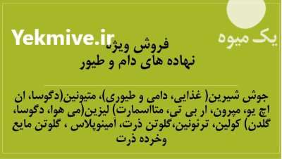 فروش عمده گندم در تهران در گروه خرید و فروش گندم و جو در یکمیوه -عکس2