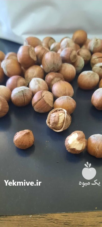 فندق شکسته خام در قزوین در گروه خرید و فروش فندق در یکمیوه -عکس1