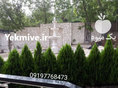 اجرای سنگ لاشه فروش سنگ لاشه در آبسرد در گروه سازنده در یکمیوه -عکس1