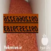 قیمت خرید بذر چغندر قند مناسب در تهران در گروه خرید و فروش بذر چغندر در یکمیوه