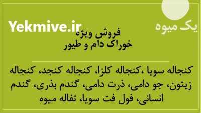 فروش عمده گندم انسانی گندم دامی در تهران در گروه خرید و فروش گندم و جو در یکمیوه -عکس3