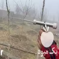 آبیابیتعیی ن محل رگه آب جهت حفر در کرج در گروه حفر چاه در یکمیوه