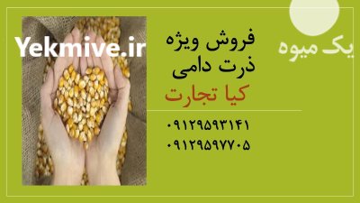 فروش ویژه ذرت دامی در تهران در گروه خرید و فروش ذرت در یکمیوه -عکس1