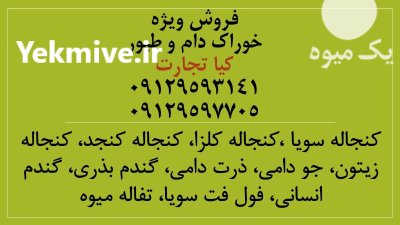 فروش ویژه ذرت دامی در تهران در گروه خرید و فروش ذرت در یکمیوه -عکس3