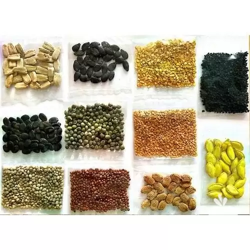 فروش انواع بذر سبزیجات در تهران در گروه خرید و فروش بذر سبزی در یکمیوه -عکس1