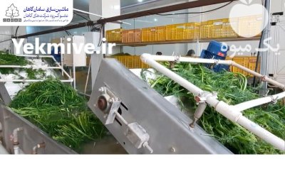 خط تولید سبزیجات آماده سامان گاهان در اصفهان در گروه خرید و فروش خط تولید در یکمیوه -عکس2