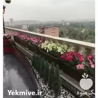 خدمات باغبانی باغچه کاری کاشت گل در تهران در گروه سازنده در یکمیوه