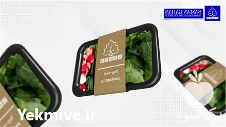 فروش خط بسته بندی سبزی خوردن در اصفهان در گروه انواع بسته بندی محصول در یکمیوه -عکس1