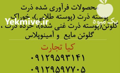 فروش ویژه فرآورده های ذرت در تهران در گروه خوراک دام و طیور در یکمیوه -عکس1