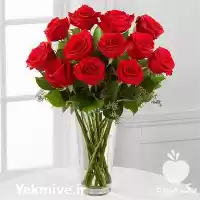 فروش انواع گل شاخه بریده گل در پاکدشت در گروه خرید و فروش گیاهان زینتی در یکمیوه