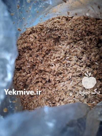 تفاله جو دامی با رطوبت کم در تهران در گروه خوراک دام و طیور در یکمیوه -عکس1