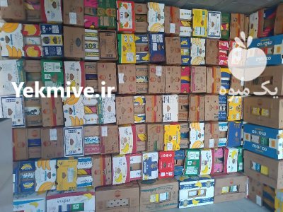 کارتن موزی و کارتن زاهدی در شیراز در گروه خرید و فروش انواع بسته بندی کارتن در یکمیوه -عکس1