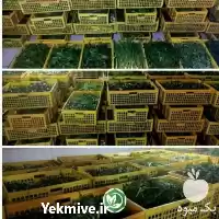 فروش قورمه سبزی سرخ شده خرد در تهران در گروه انواع سرخ شده و پخته شده در یکمیوه