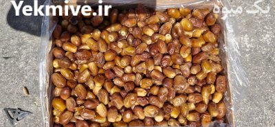 خرید و فروش خرمای زاهدی هلیله قیر و کارزین در اصلاندوز در گروه خرید و فروش خرما در یکمیوه -عکس2