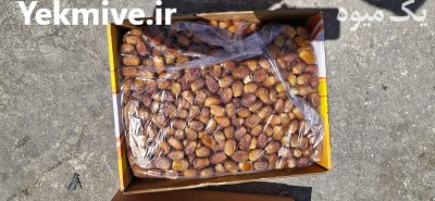 خرید و فروش خرمای زاهدی هلیله قیر و کارزین در اصلاندوز در گروه خرید و فروش خرما در یکمیوه -عکس3