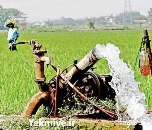 اکتشاف آب آبیابی در کرج در گروه حفر چاه در یکمیوه -عکس1