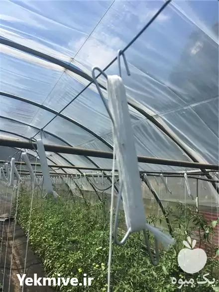 فروش قلاب فلزی نگه دارنده نخ در تهران در گروه خرید و فروش تجهیزات گلخانه در یکمیوه -عکس1