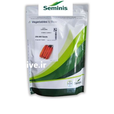 بذر هویج کارورا در حمیل در گروه خرید و فروش بذر هویج در یکمیوه -عکس1