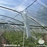 فروش قلاب فلزی نگه دارنده نخ در تهران در گروه خرید و فروش تجهیزات گلخانه در یکمیوه