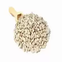 قیمت خرید بذر گلرنگ در همدان در گروه خرید و فروش گیاهان صنعتی در یکمیوه