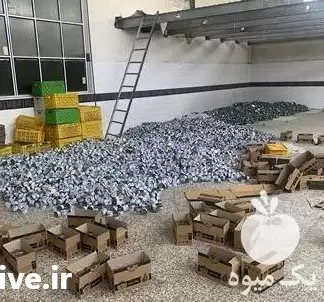 فروش تولید کنسرو ماهی تن ماهی در تهران در گروه انواع محصولات کنسروی در یکمیوه -عکس1