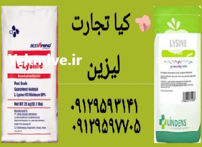 فروش ویژه آردک برنج و سبوس و تفاله ذرت در تهران در گروه خوراک دام و طیور در یکمیوه -عکس4