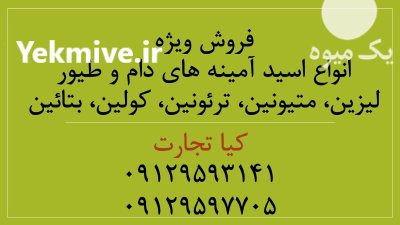 فروش نشاسته ذرت و نشاسته گندم در تهران در گروه خوراک دام و طیور در یکمیوه -عکس2