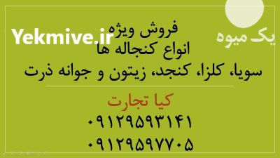 فروش نشاسته ذرت و نشاسته گندم در تهران در گروه خوراک دام و طیور در یکمیوه -عکس4