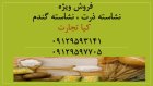 فروش نشاسته ذرت و نشاسته گندم در تهران در گروه خوراک دام و طیور در یکمیوه