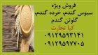 سبوس گندم خرده گندم گلوتن گندم در تهران در گروه خوراک دام و طیور در یکمیوه