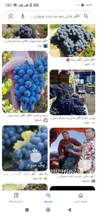 میوه میوهای فصل تالار مجالس جشن در تهران در گروه خرید و فروش میوه استوایی در یکمیوه -عکس2