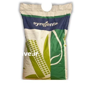 بذر ذرت اینوه در جیرفت در گروه خرید و فروش بذر ذرت در یکمیوه -عکس1