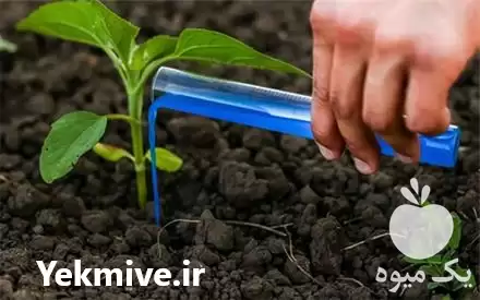 قیمت خرید ویژه کود نیتروزیست در همدان در گروه خرید و فروش انواع کود کشاورزی در یکمیوه -عکس1